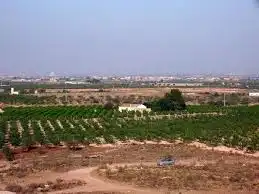 Terreny residencial en venda a Pedanías Norte, imagen 4