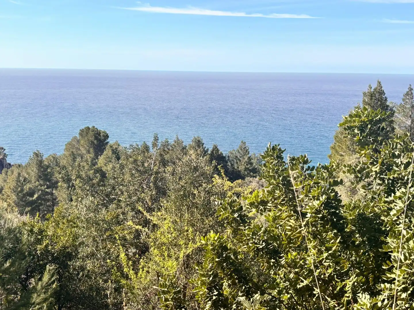 Land for sale in Estellencs