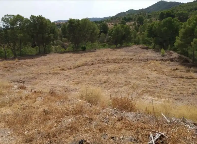 Terreny residencial en venda a F-A FASE I SEC B TORREGUI, imagen 24