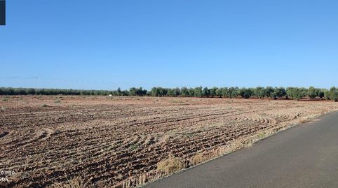 Se vende parcela rustica de 13.800 m2, a pie de carretera., immagine 3