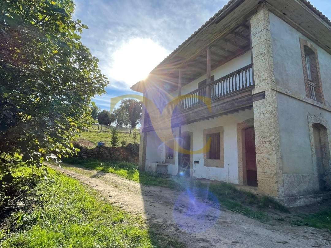 Vista exterior de Casa o xalet en venda en Piloña amb Jardí privat, Terrassa i Traster