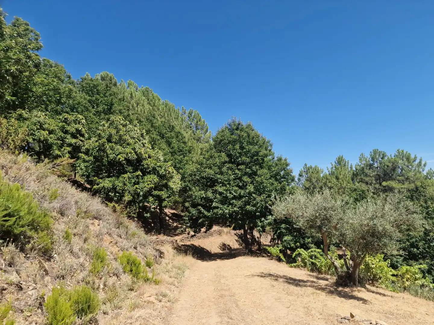 Terreno en venta en Guisando, Ávila
