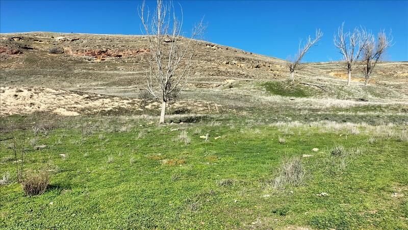 Residential for sale in 8 (CAMINO DE TEJADILLA), El Cerro - Carretera de San Rafael