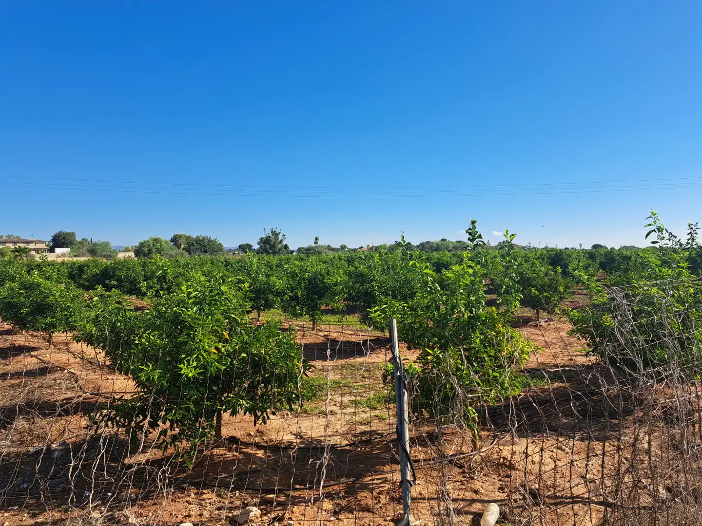 Rural land for sale in Plaça Num 17 105, imagen 4