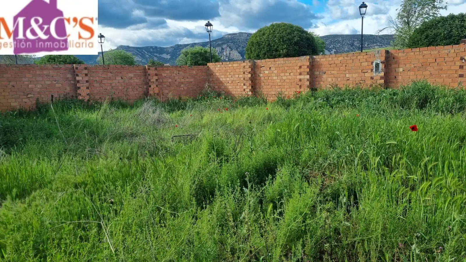 Casa o xalet en venda en Villanueva de San Carlos amb Jardí privat i Moblat
