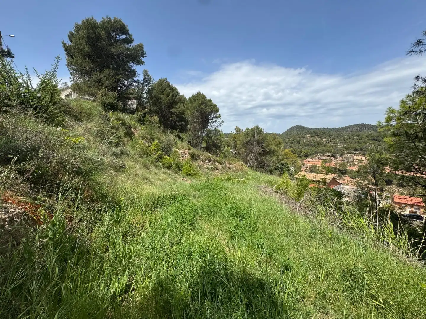 Residential land for sale in La Pobla de Claramunt, imagen 5