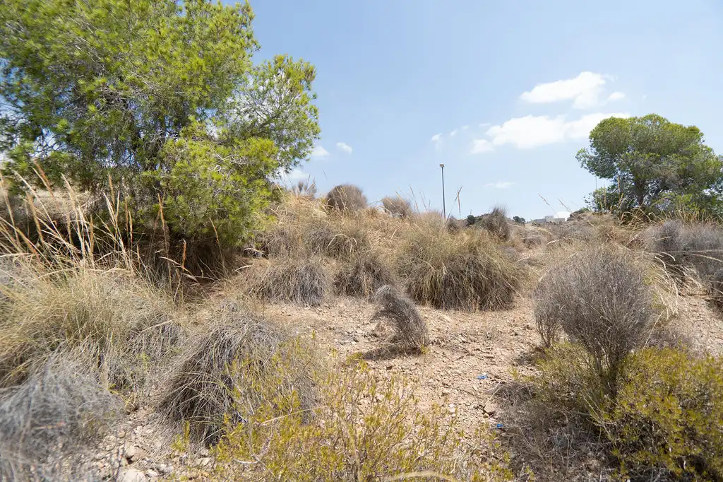 Office for sale in C/ Montecantalar, El Esparragal