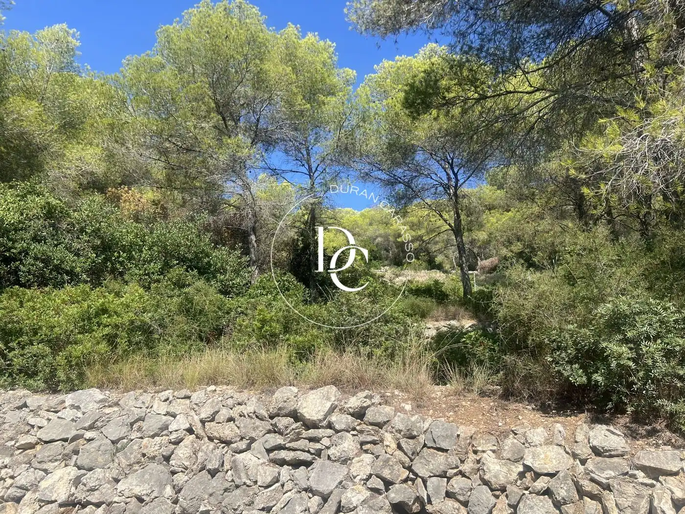Terrenys i solars en venda a Avinguda Camí de Miralpeix, imagen 10