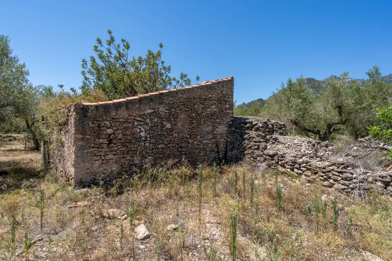 Terreno rustico in vendita a Roquetes, imagen 2