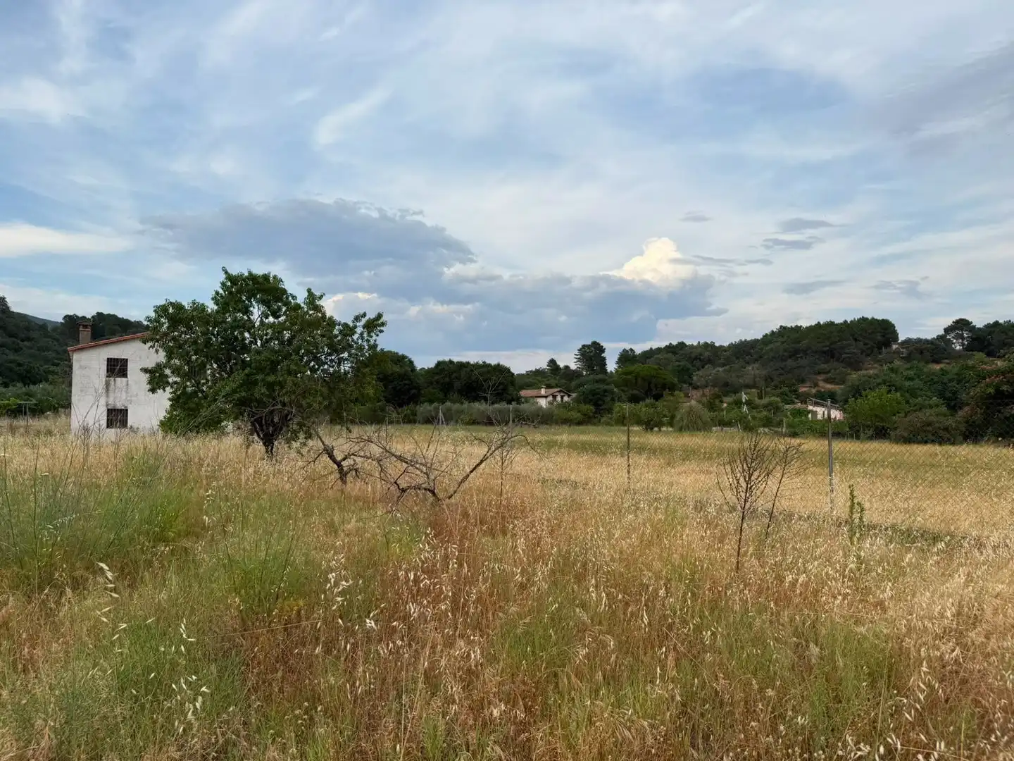 Terreni e lotti in vendita a Candeleda, imagen 6