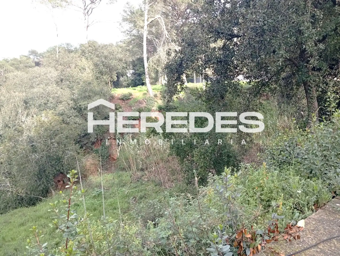Terreno residencial en venta en Carrer Finestrelles 4, imagen 16