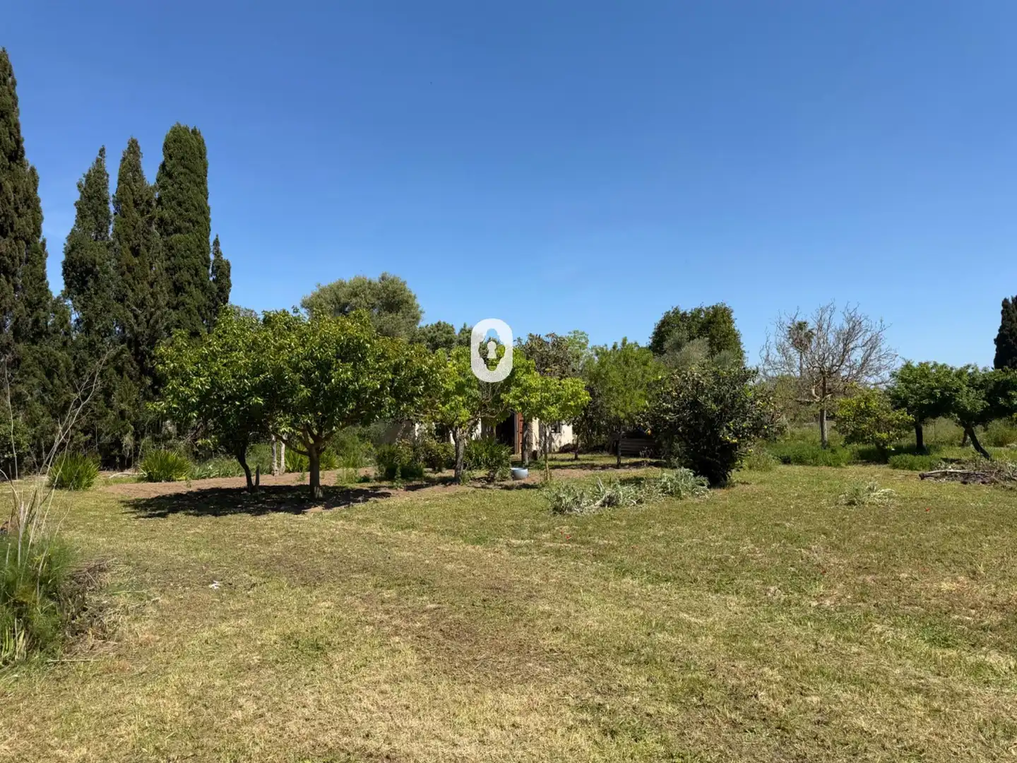 Finca rústica en venta en Binissalem