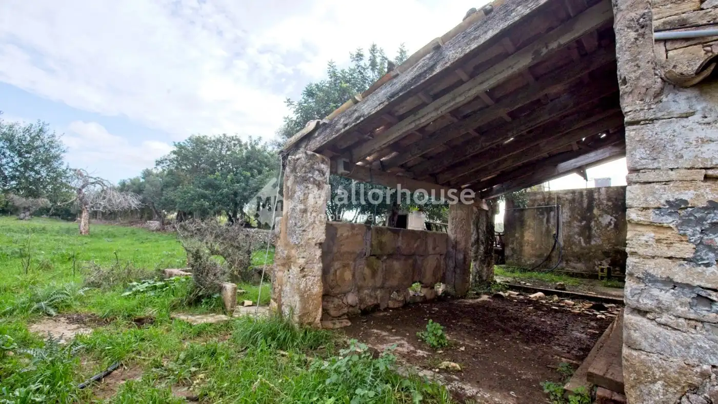 Detached house with garden for sale in Camino SIN NOMBRE, imagen 15