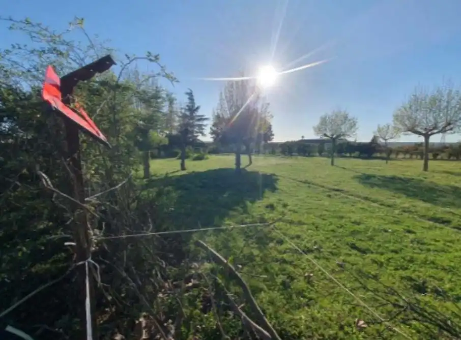 Terreni e lotti in vendita a Garrafe de Torío, imagen 6