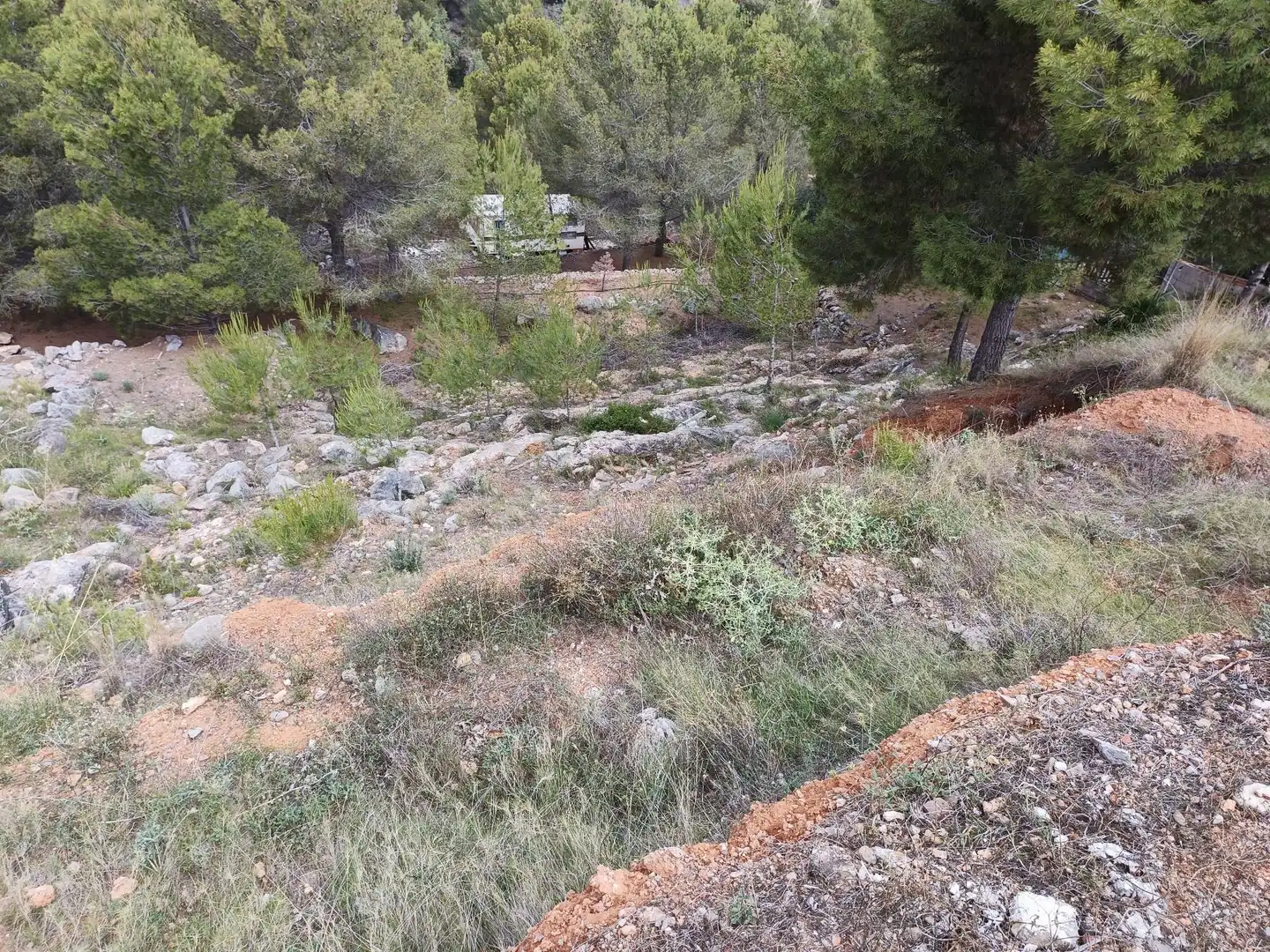 Lands and plots for sale in Borriol, imagen 2