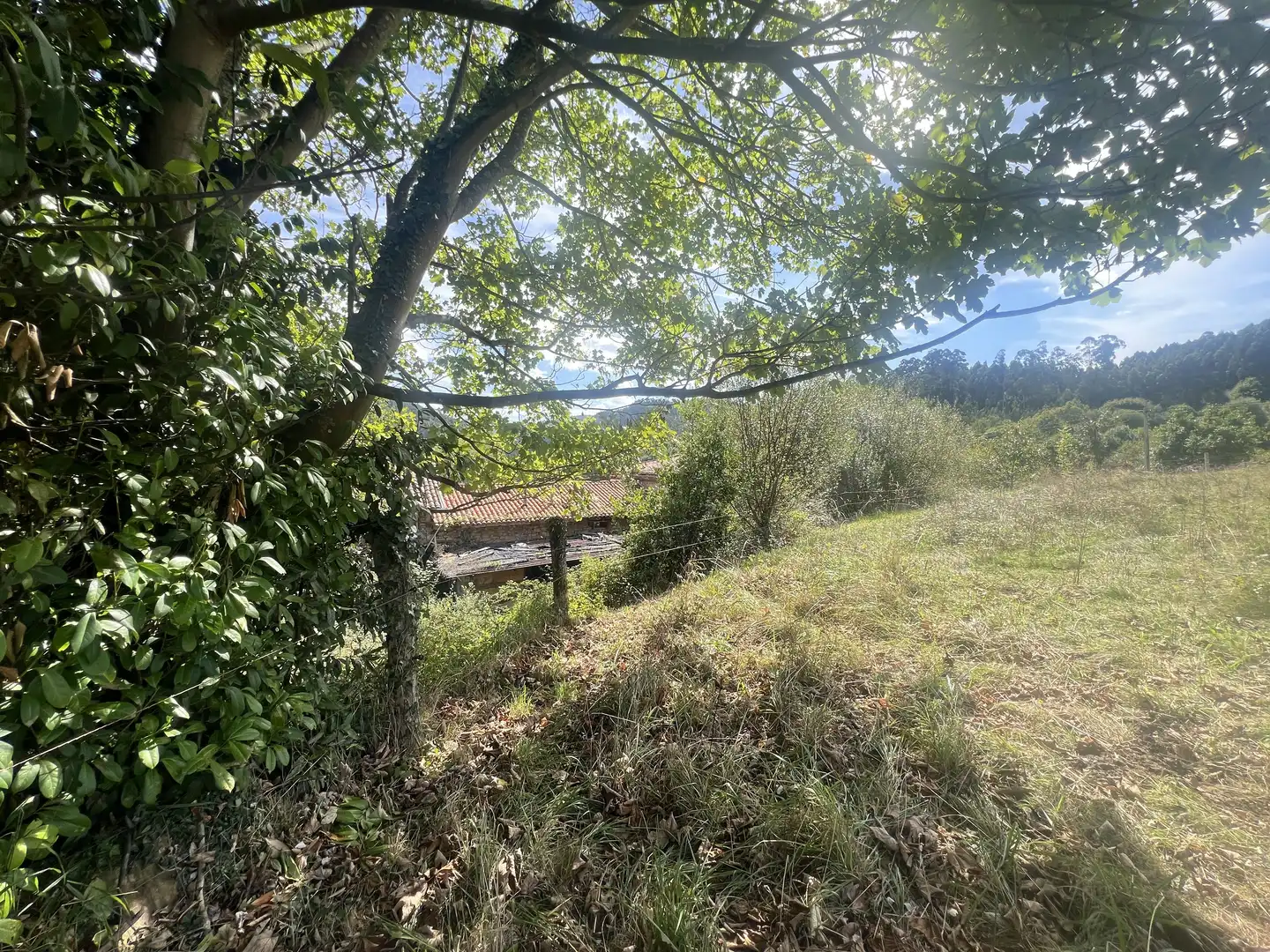 Lands and plots for sale in Pillarno, imagen 13