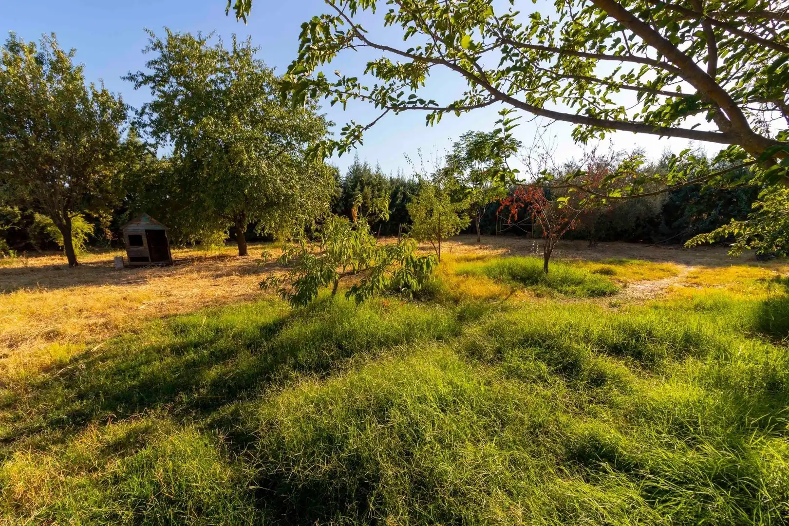Casa rústica con piscina en venta en Dehesilla de Calamón - Campomanes, imagen 49