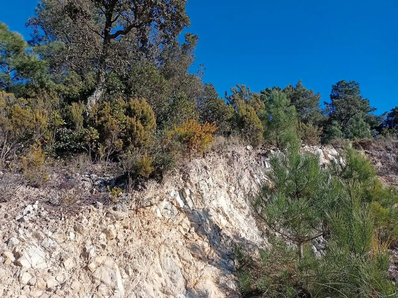 Terreno residencial en venta en Lloret Residencial - Montlloret