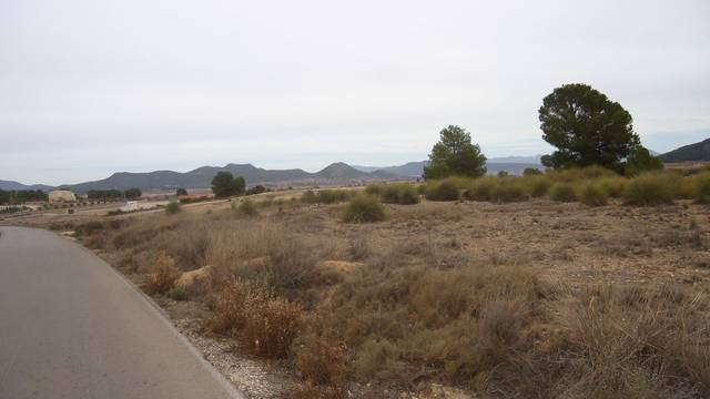 Terreno en Venta en El Pinós / Pinoso