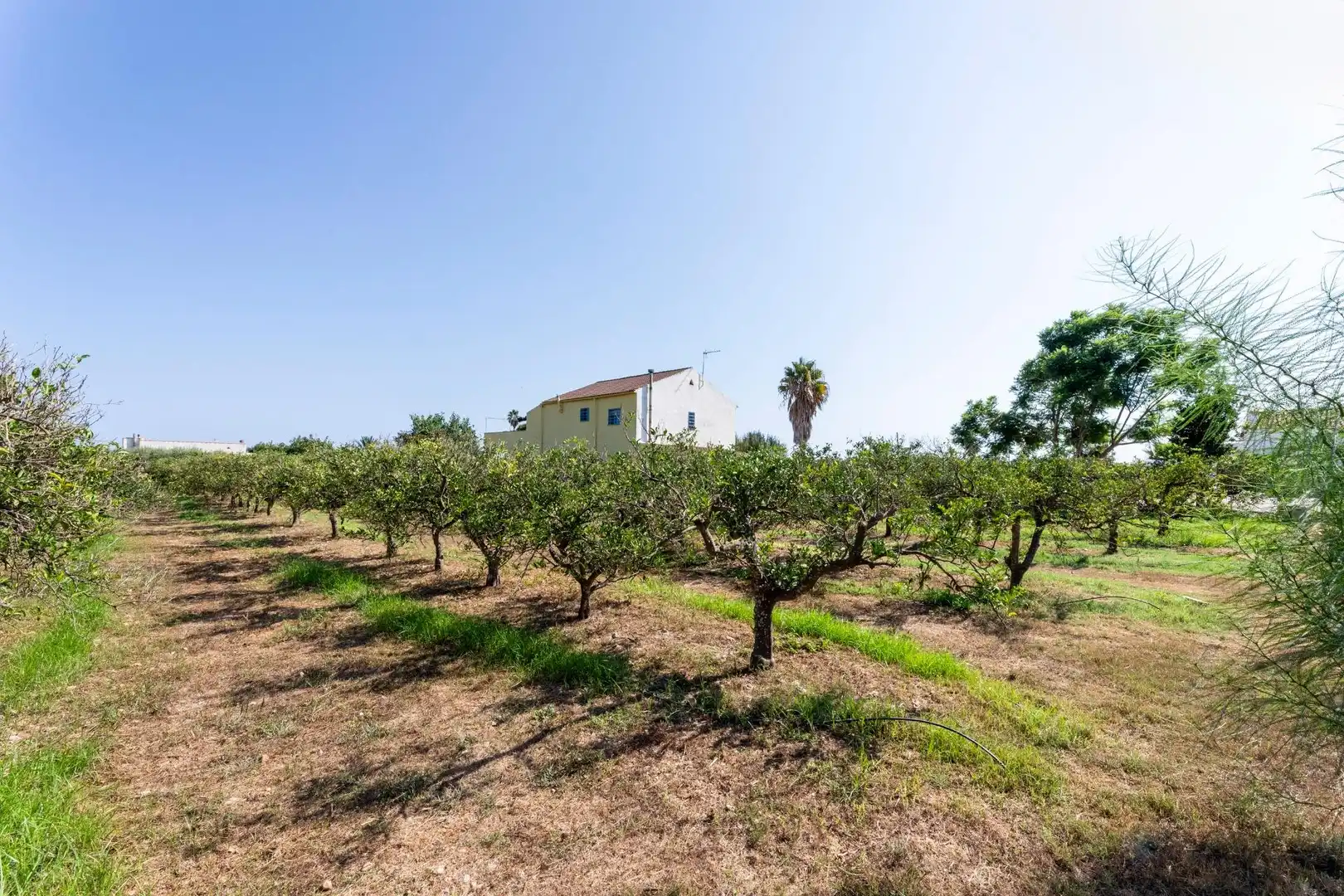 Casa rustica con giardino in vendita a Alcanar, imagen 5