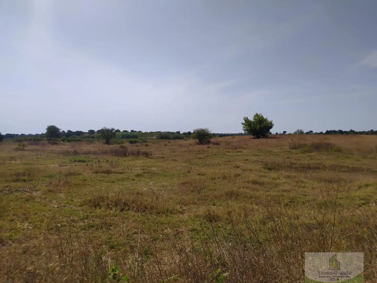 Finca rústica en venda a Villarrasa