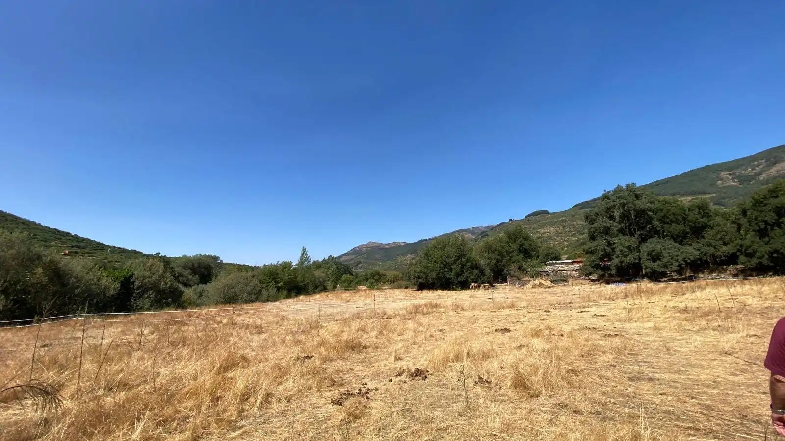 Rural land for sale in Calle el Roble 4, imagen 9