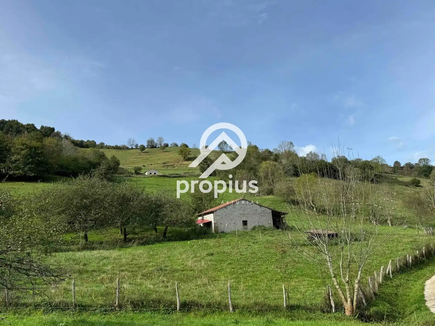 Rural land for sale in Inguanzo, imagen 3