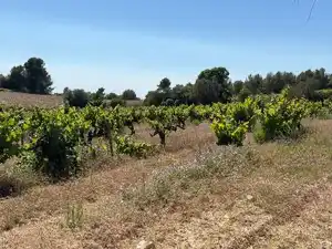 Rustikales Grundstück zum Verkauf in Carrer del Camp 9, imagen 4