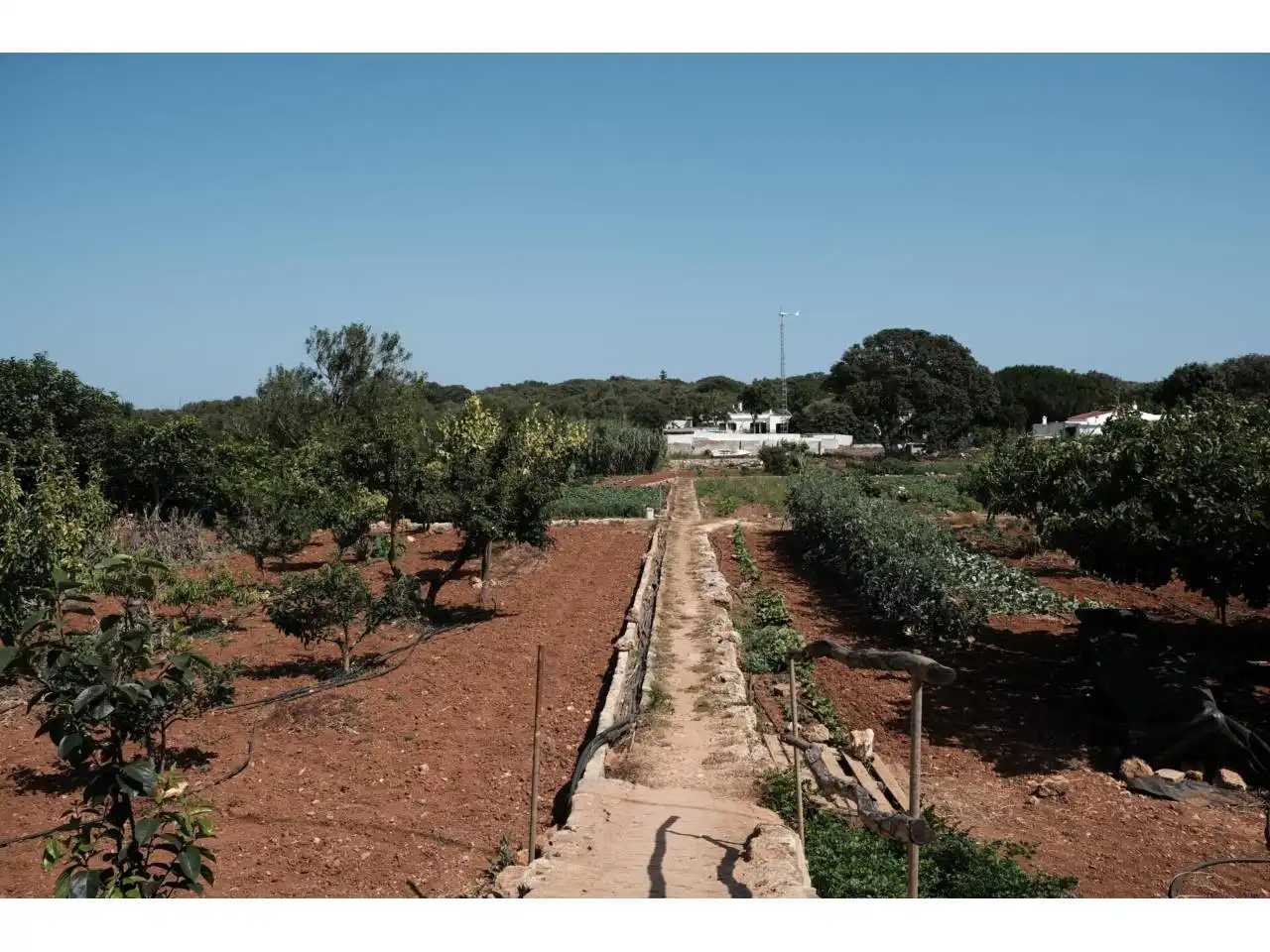 Jardín de Finca rústica en venta en Ciutadella de Menorca con Jardín privado y Piscina