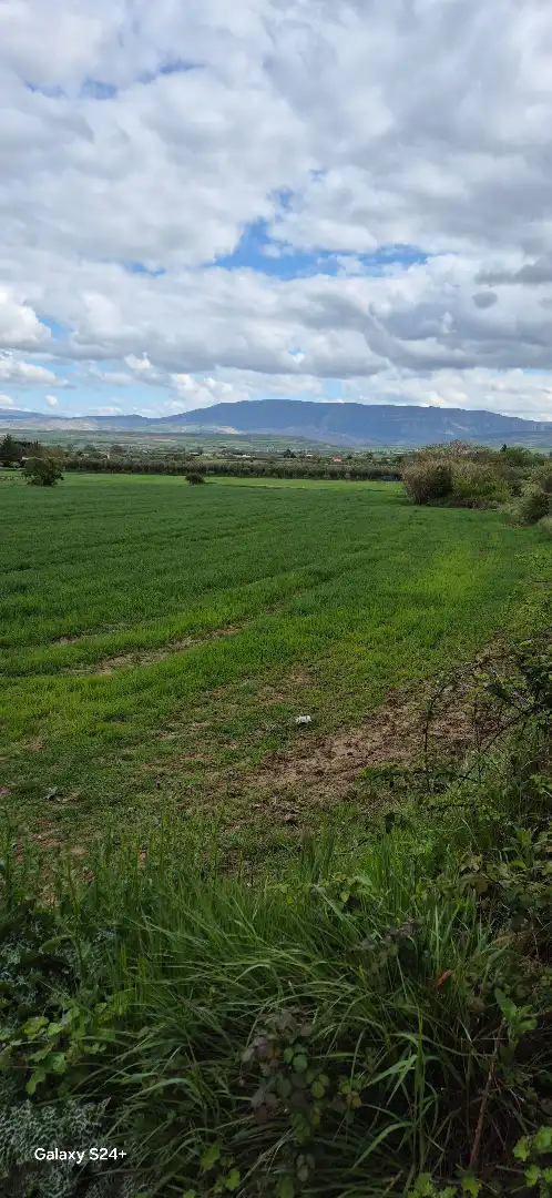Terreny rústic en venda a Villamediana de Iregua