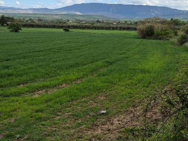 Rustikales Grundstück zum Verkauf in Villamediana de Iregua