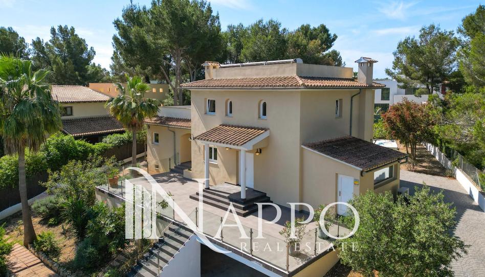 Photo 1 of House or chalet for sale in Distrito Sol de Mallorca, Sol de Mallorca, Illes Balears
