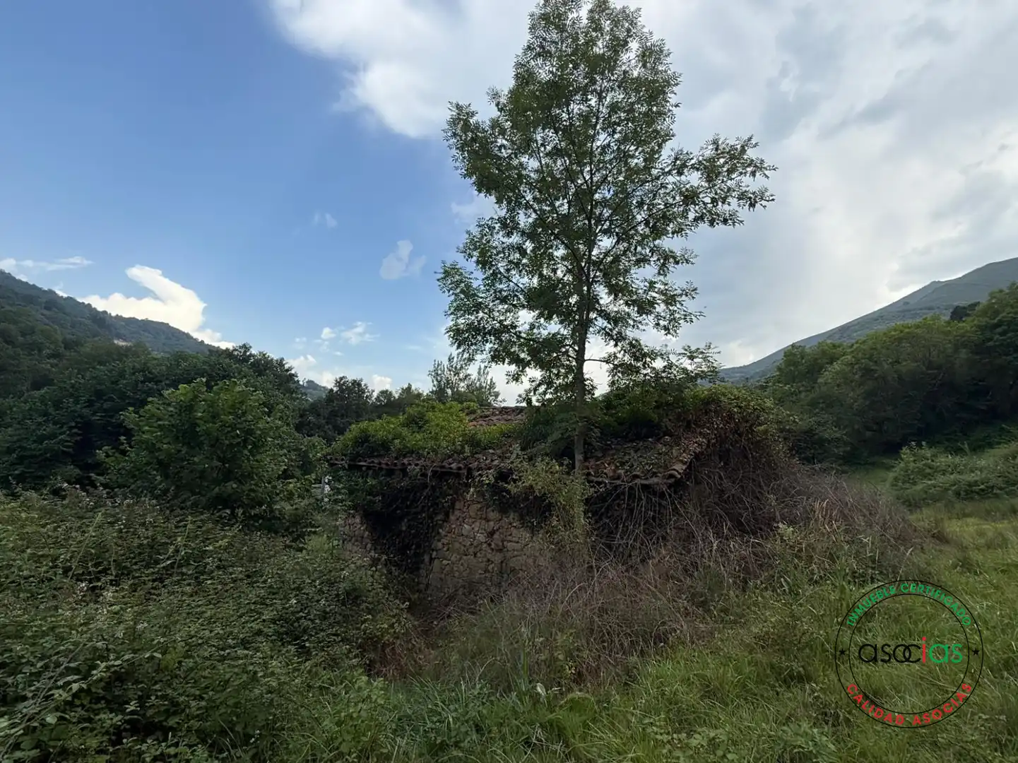 Land for sale in Quirós