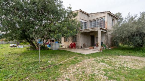 Foto 5 de Finca rústica en venda a Cami del Galatxo, 14, Roquetes, Tarragona