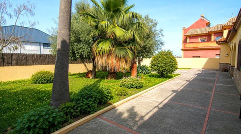 Photo 3 of Houses for sale in Las Palmeras - Dehesilla, Sanlúcar de Barrameda