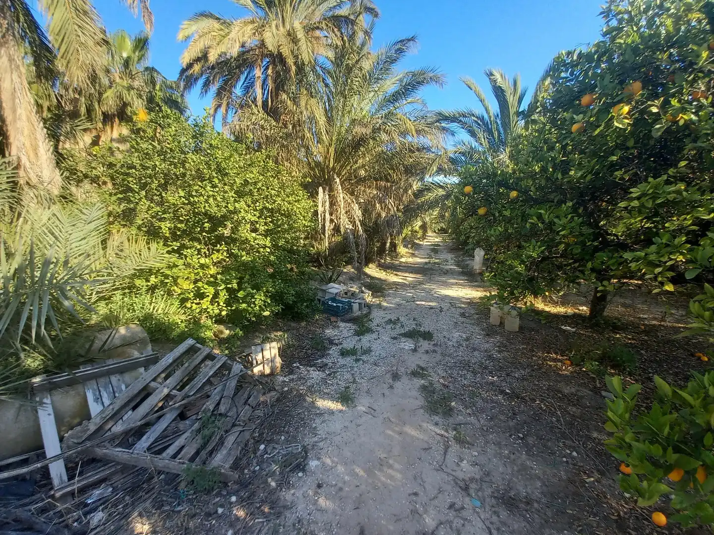 Casa o chalet en venta en Elche / Elx
