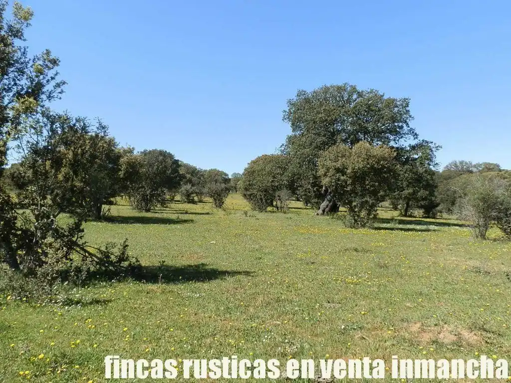 Terreno rustico in vendita a Ciudad Rodrigo