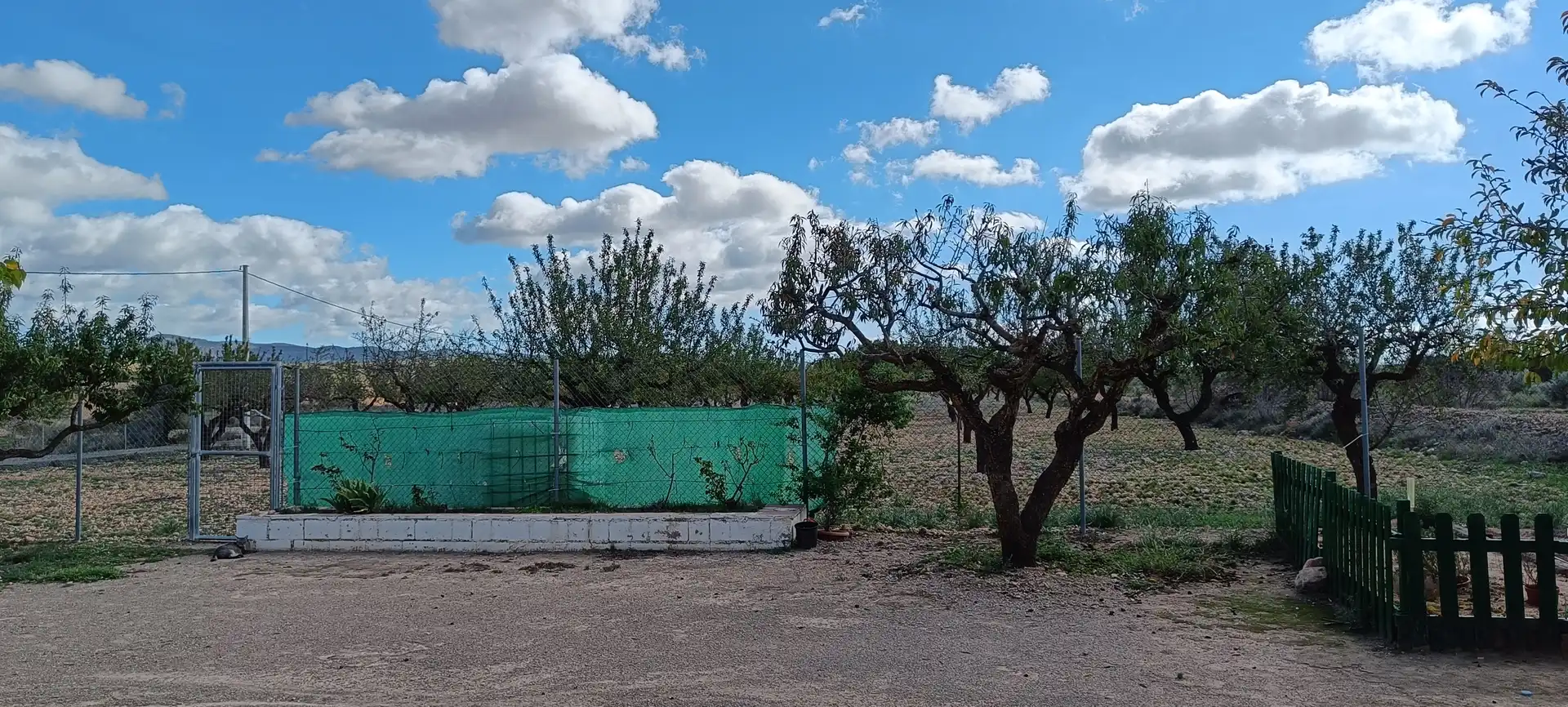 Casa o xalet en venda en Almansa amb Jardí privat