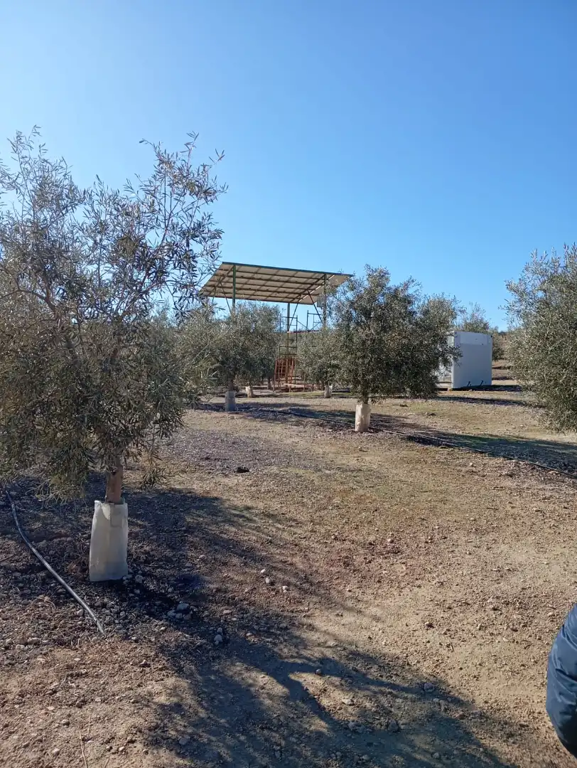 Terreno rústico en venta en Ventas de Huelma, imagen 6