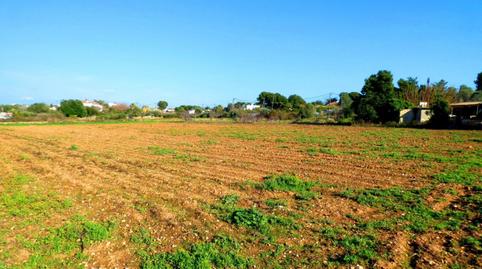 Photo 3 of Land for sale in Santa Maria, Barcelona