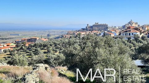 Olivar en Oropesa, immagine 5