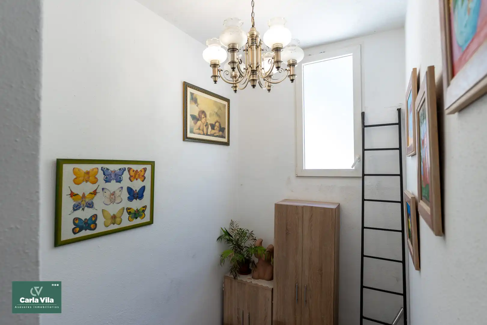 Casa con jardín en venta en Avenida Carlos Azcárraga, imagen 16