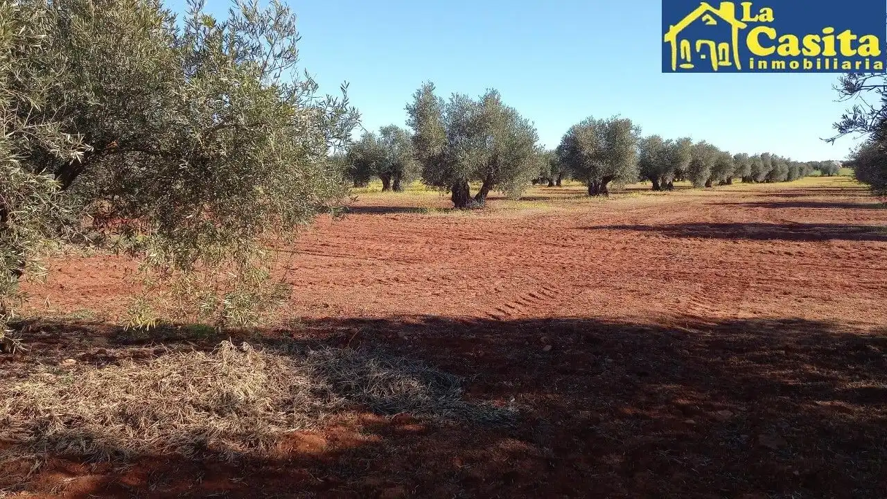 Terrenys i solars en venda a Almagro, imagen 8