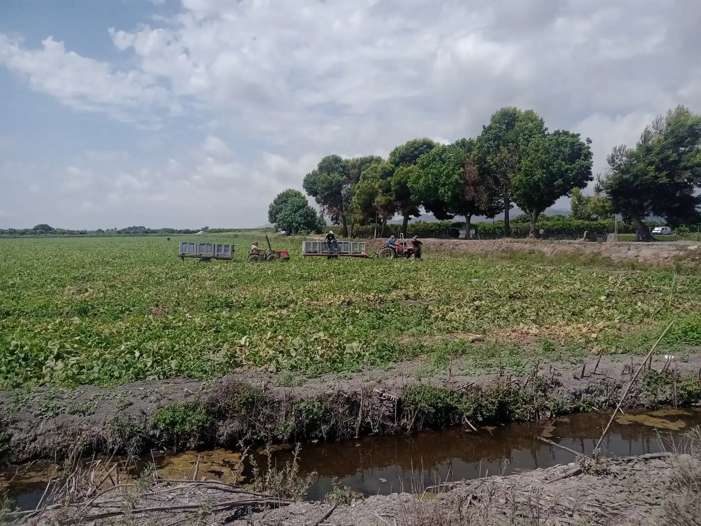 Rural land for sale in N/A, imagen 24