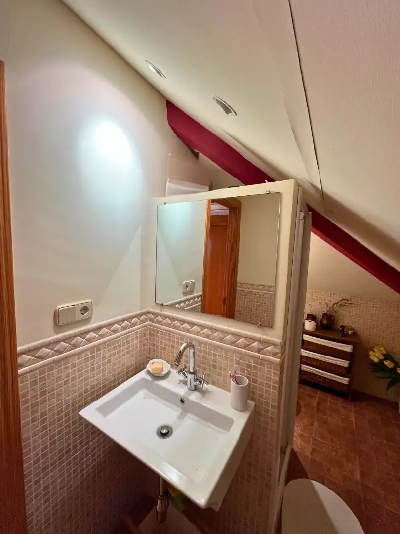 Bathroom of Detached homes for sale in Alcázar de San Juan  with Private garden and Community pool