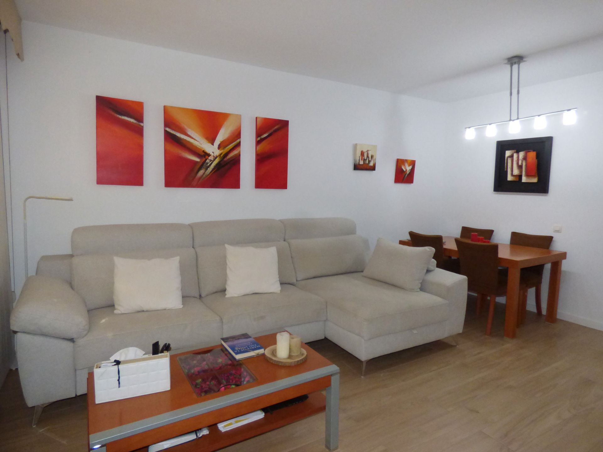 Living room of Flat for sale in Cerdanyola del Vallès  with Air Conditioner, Heating and Oven