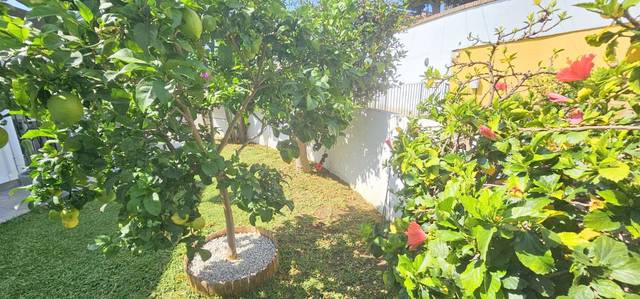 Planta baja en Alquiler en Caleta de Vélez