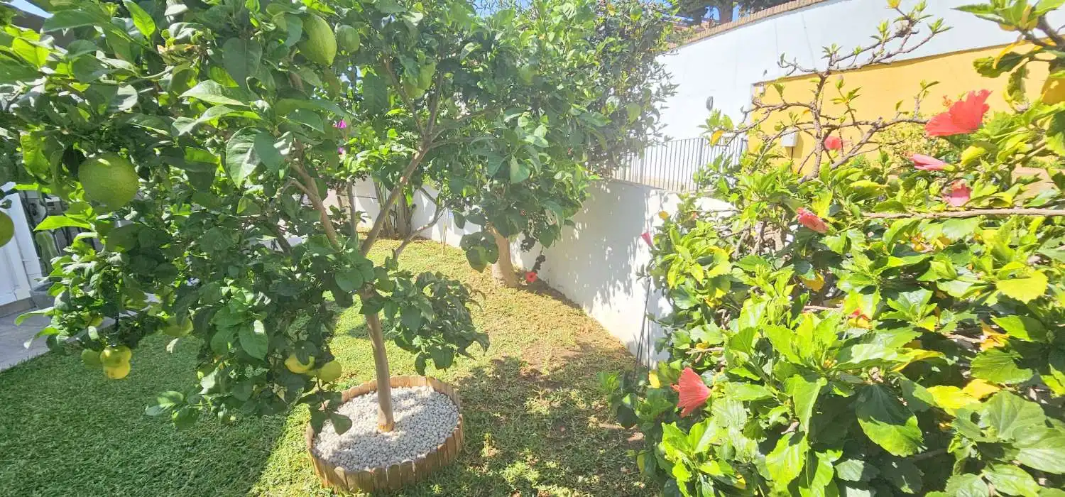 Garten von Erdgeschoss zur Miete in Vélez-Málaga mit Klimaanlage, Terrasse und Schwimmbad
