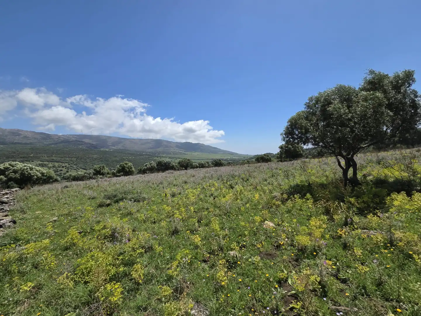 Terreny rústic en venda a Tarifa ciudad, imagen 7