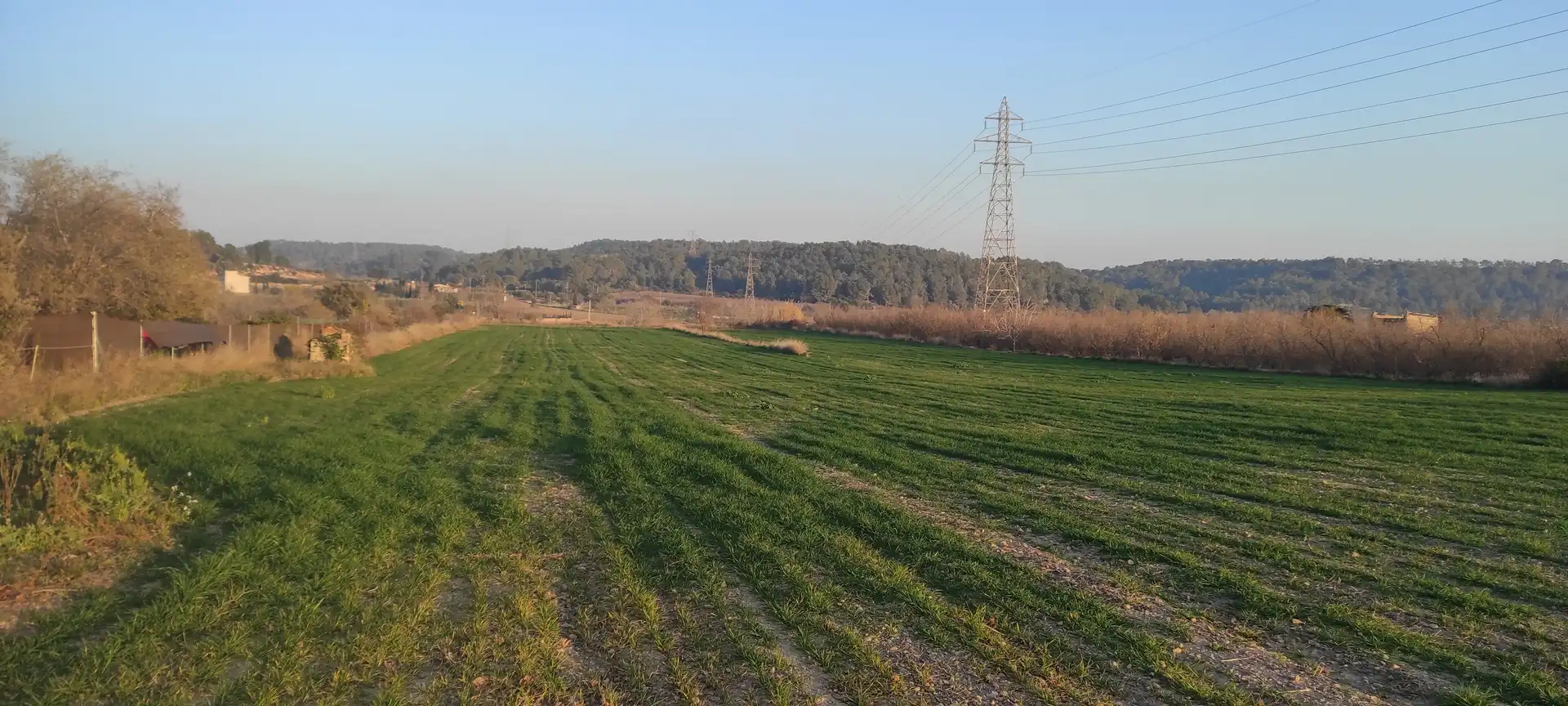 Terreny rústic en venda a Carretera Maso la a Vallmoll 1, imagen 3